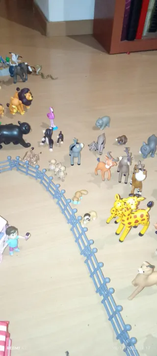 Colección animales zoo figuras completa más libros