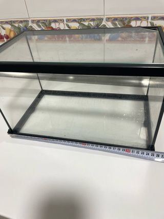 Pecera pequeña con accesorios