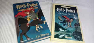 Lote Harry Potter
