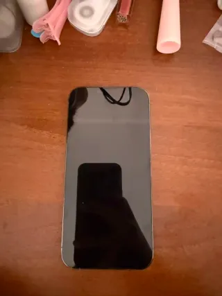 iPhone 13 Pro Max 256GB