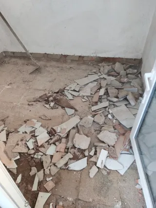 Betula s.l reformas en general especialdad hemedad