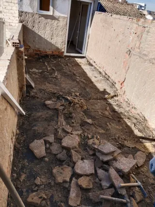 Betula s.l reformas en general especialdad hemedad