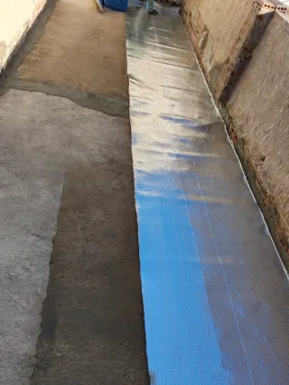 Betula s.l reformas en general especialdad hemedad