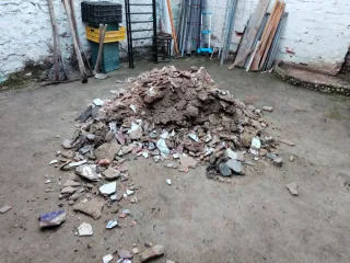 Betula s.l reformas en general especialdad hemedad