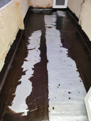 Betula s.l reformas en general especialdad hemedad