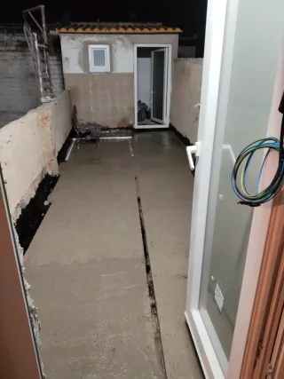 Betula s.l reformas en general especialdad hemedad