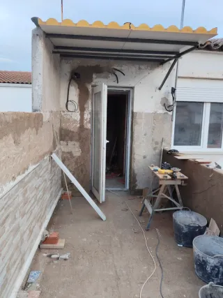 Betula s.l reformas en general especialdad hemedad