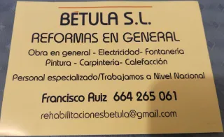 Betula s.l reformas en general especialdad hemedad