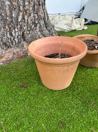 Conjunto de 4 macetas de terracota