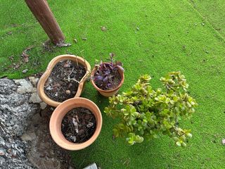 Conjunto de 4 macetas de terracota