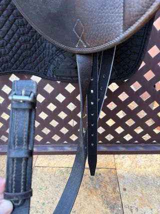 Montura de doma Stübben