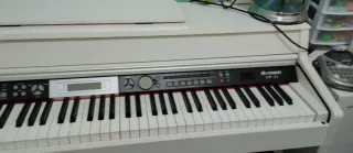 Piano digital Thomann DP-31