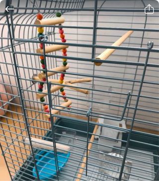 Jaula de pájaros con accesorios.