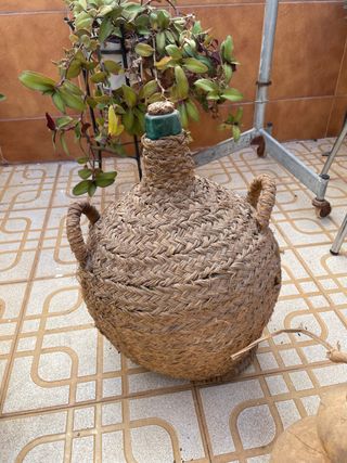 Garrafa antigua de esparto