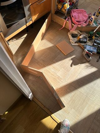 carpinteros profesionales.