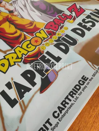 DBZ L'Appel du destin LONA