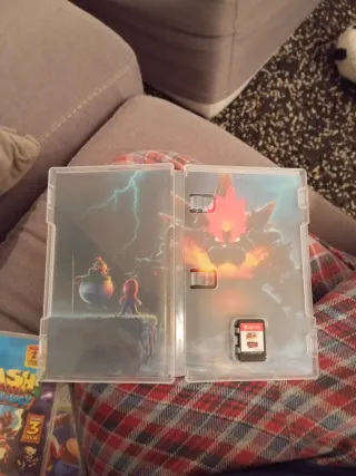 Super Mario 3D World + Bowser's Fury Switch