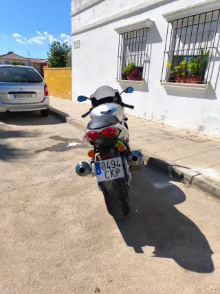 Aprilia SL 1000 Falco 2003