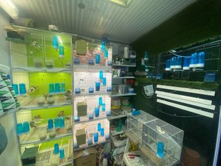 Aviario Excedente - Afición Ornitológica