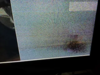 Televisor LG 48 con fallos de imagen