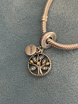 Charm Árbol de la Familia