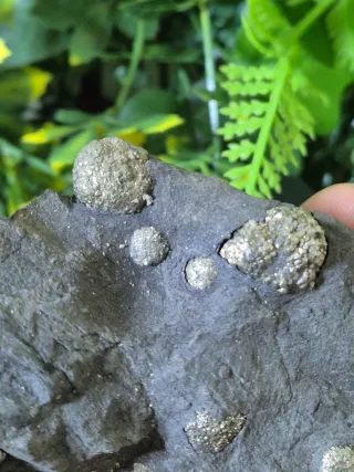 Pirita Framboidal Mineral Colección