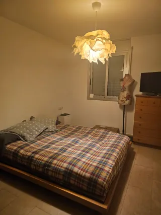 Cama Tatami japonés + 2 Mesitas + Colchón de látex