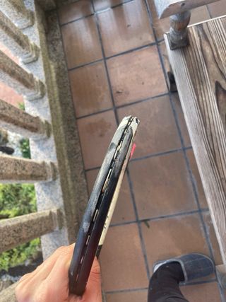 Raqueta Wilson Hammer 6