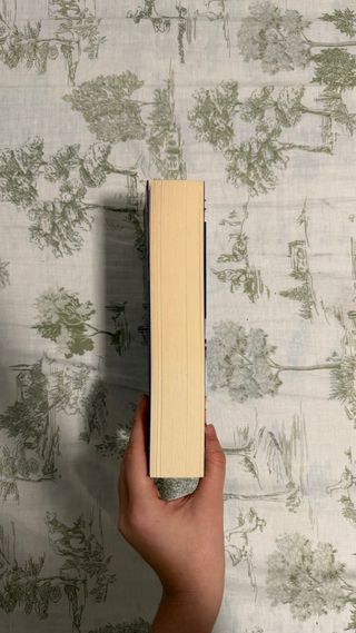 Irresistible Error (Spanish Edition)