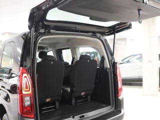 Citroen Berlingo BlueHDi 100 SANDS Plus Talla XL 75 kW (102 CV)