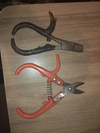 Tijeras de podar naranjas