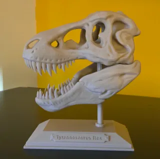 Cráneo T-Rex - figura 3D