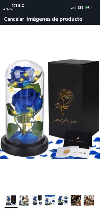Rosa Eterna Azul con Luces LED