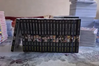 Una colección de todo tipo de mangas