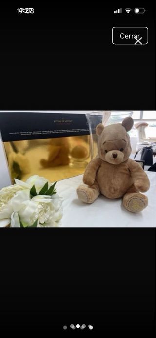 Peluche Winnie the Pooh