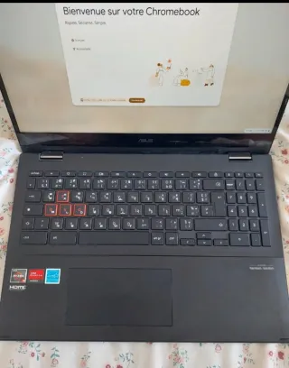 Asus Chromebook Flip CM5500 Negro