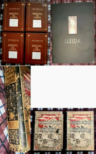 Biblioteca formada por 289 libros de Lleida