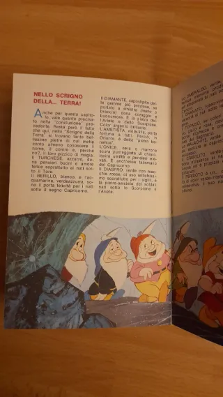 Lotto libri Disney Mondadori anni 70