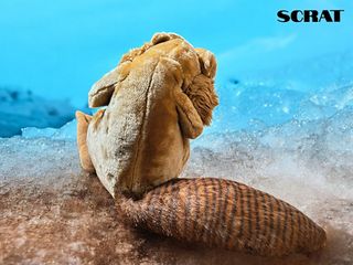 Peluche Scrat Ice Age 2 Originale Play-By-Play