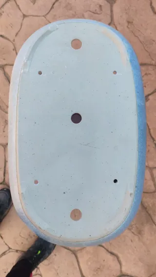 Maceta Bonsái 43cm Azul Celeste