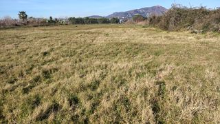 Alquiler campo rústico 700m2 en Puzol (Valencia)