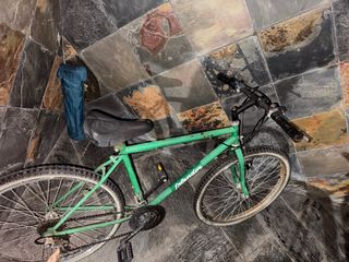 Bicicleta verde marca Splendor