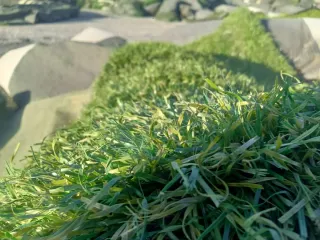 Césped artificial verde