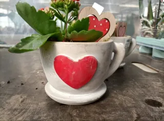 Tazza Vaso Cuore Ceramica Terracotta
