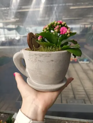 Tazza Vaso Cuore Ceramica Terracotta