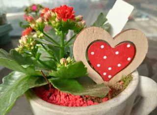 Tazza Vaso Cuore Ceramica Terracotta