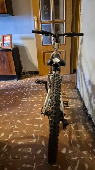 Bicicleta Proflex en buen estado