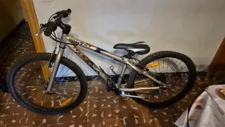 Bicicleta Proflex en buen estado