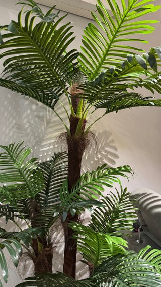 Planta artificial, palmera. 1.75m