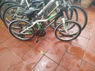 Bicicleta Montaña